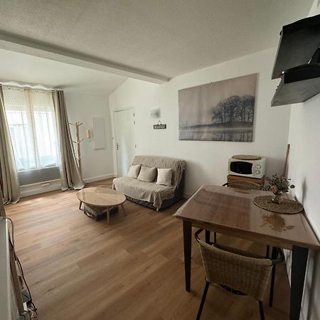 Апартаменты T2 *Hypercentre* Bord De Garonne Тулуза Экстерьер фото